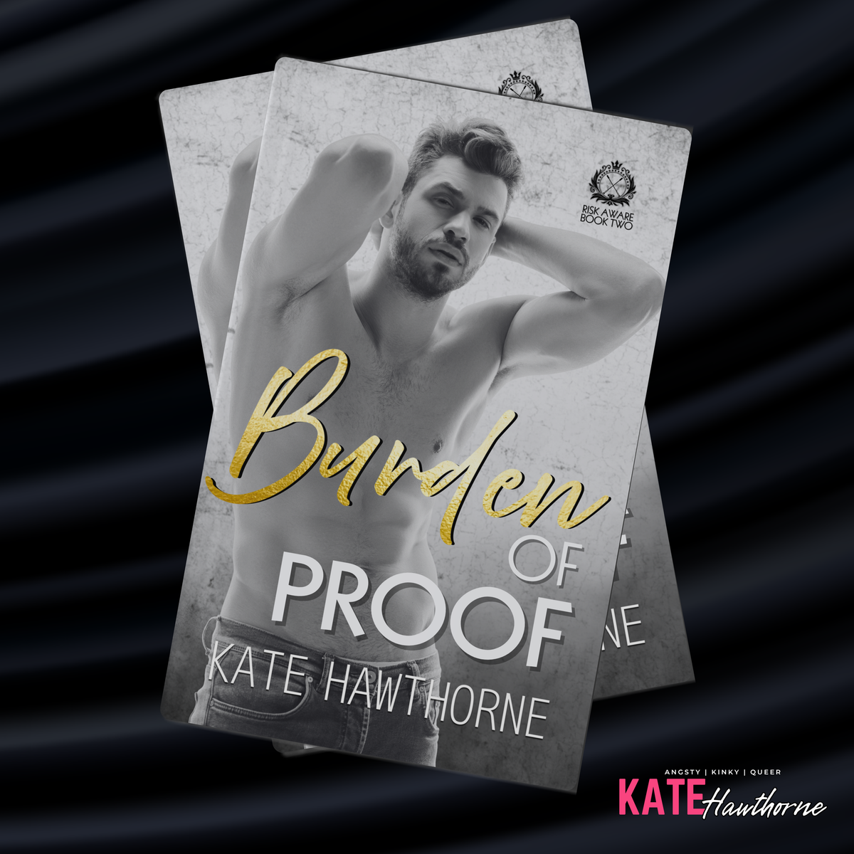 Burden of Proof | Risk Aware Book 2